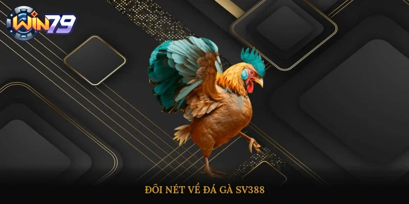 Đôi nét về Đá Gà SV388
