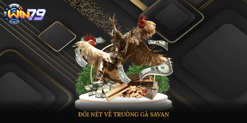 Đôi nét về Trường gà Savan