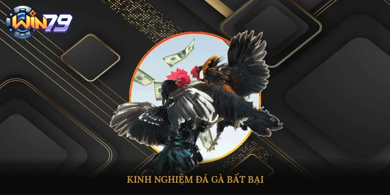 Kinh nghiệm đá gà bất bại