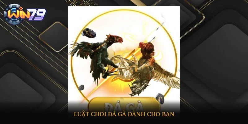 Luật chơi đá gà dành cho bạn