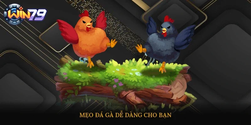 Mẹo đá gà dễ dàng cho bạn