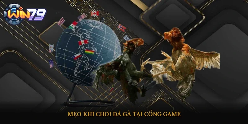 Mẹo khi chơi đá gà tại cổng game